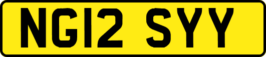 NG12SYY