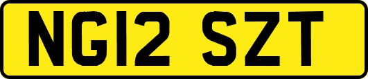 NG12SZT