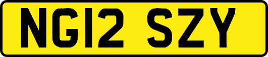 NG12SZY