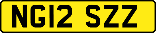 NG12SZZ
