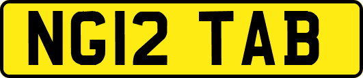NG12TAB