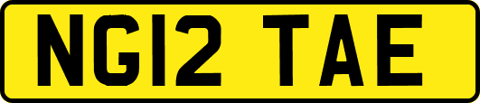 NG12TAE