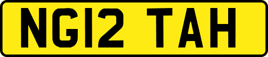 NG12TAH