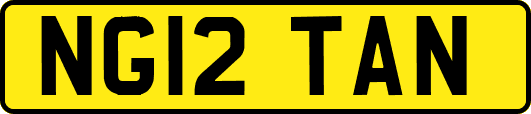 NG12TAN