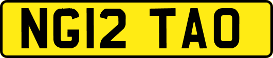 NG12TAO