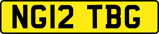 NG12TBG