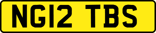 NG12TBS