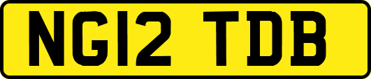 NG12TDB