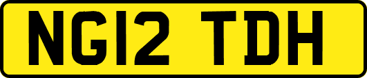 NG12TDH
