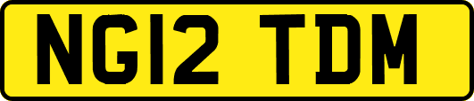 NG12TDM