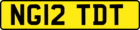 NG12TDT