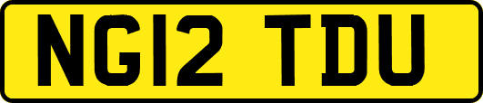 NG12TDU