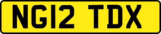 NG12TDX