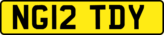 NG12TDY
