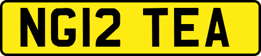 NG12TEA