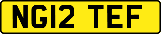 NG12TEF