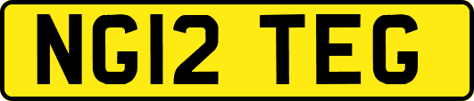 NG12TEG