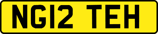 NG12TEH