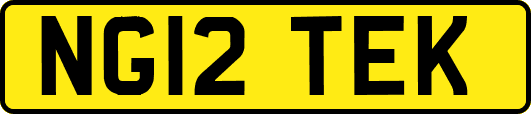 NG12TEK