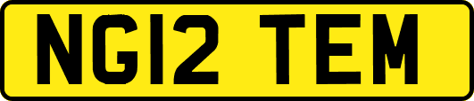 NG12TEM