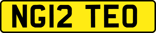 NG12TEO
