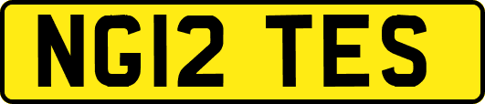 NG12TES