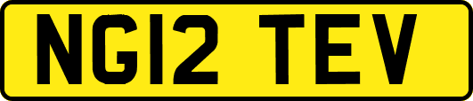 NG12TEV