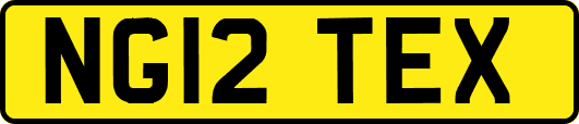 NG12TEX
