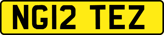 NG12TEZ