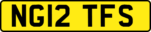 NG12TFS