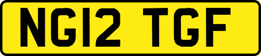 NG12TGF