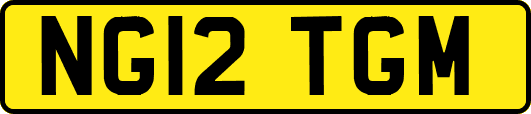 NG12TGM