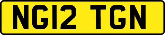 NG12TGN