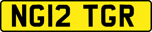 NG12TGR