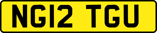 NG12TGU