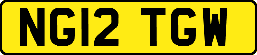 NG12TGW