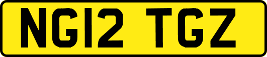 NG12TGZ