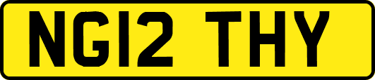 NG12THY