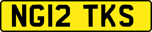 NG12TKS