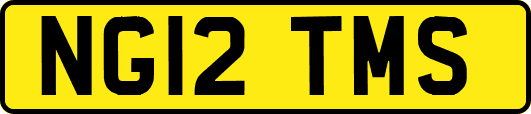 NG12TMS