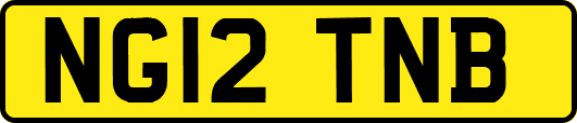 NG12TNB