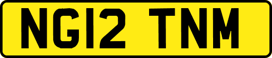 NG12TNM