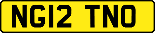 NG12TNO