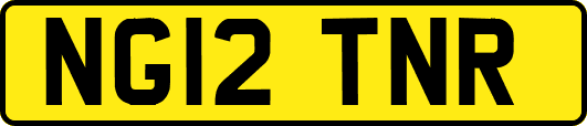 NG12TNR