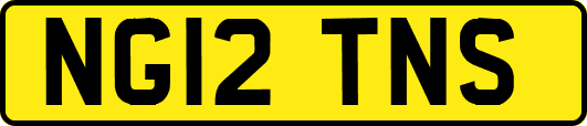 NG12TNS