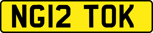 NG12TOK