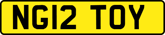 NG12TOY