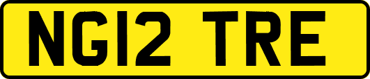 NG12TRE