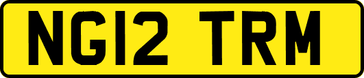 NG12TRM