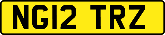 NG12TRZ